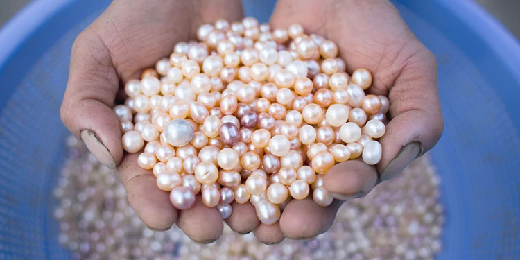 how to identify between natural vs. cultred pearls
